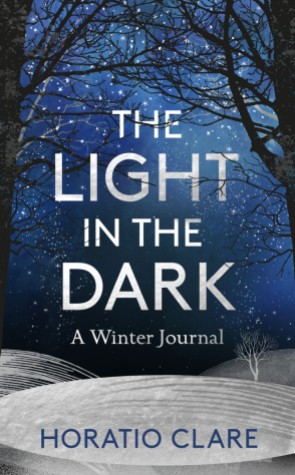 Light in the Dark Cover